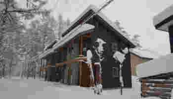 Image of Kitsune Cottages