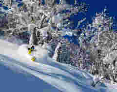 Ski & Board Rentals