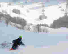 Ski & Board Rentals